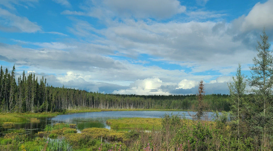 lac dans la for&ecirct au Canada